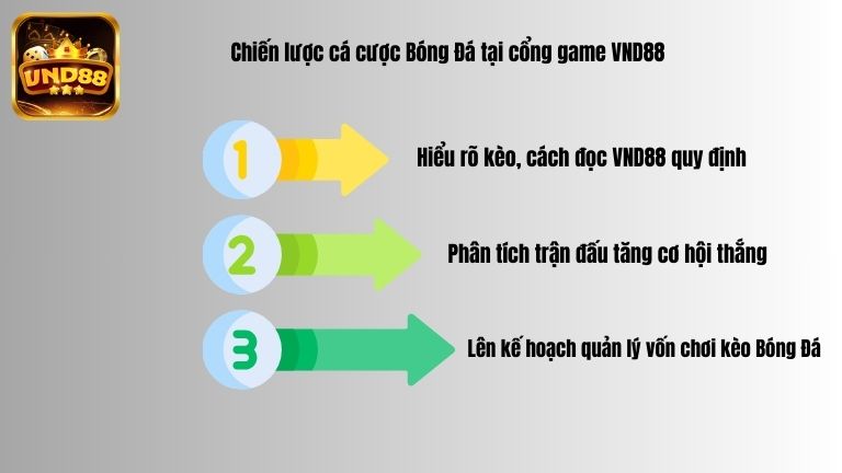 Chiến lược cá cược Bóng Đá tại cổng game VND88