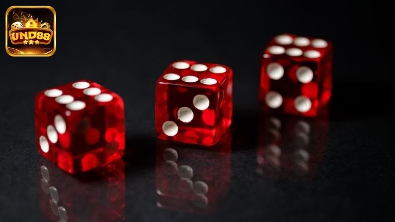 Điểm danh các loại cược trong Tài Xỉu bạn cần nắm rõ